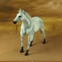 Horse White