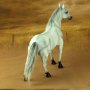 Horse White