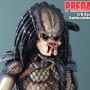 Predator (Sideshow)