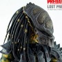 Lost Predator