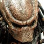 Predator (studio)