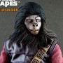 Gorilla Soldier (studio)