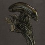 Alien (studio)