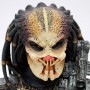 Predator (studio)