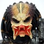 Predator (studio)