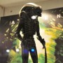 Alien Big Chap (realita)