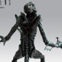 Alien Warrior (studio)