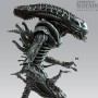 Alien Warrior (studio)