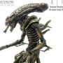 Alien Warrior Brown (studio)