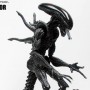 Alien Warrior (studio)