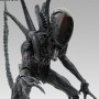 Alien Vs. Predator: Alien Warrior