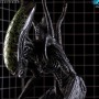 Grid Alien (studio)