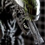 Grid Alien (Asia) (studio)