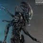 Alien Warrior (studio)