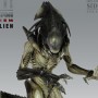 Alien Vs. Predator Requiem: Predalien
