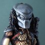 Predator (Sideshow)