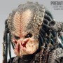 Elder Predator (studio)