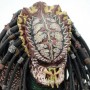 Battle Damaged Predator (studio)