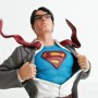 Superman Returns: Collector Dioramas