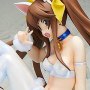 Infinite Stratos: Huang Lingyin Cat