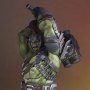 Hulk Gladiator Collectors Gallery