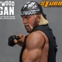 Hulk Hogan Hollywood
