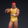 Hulk Hogan Hulkamania