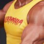 Hulk Hogan Hulkamania