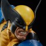Hulk Vs. Wolverine