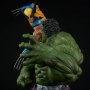 Hulk Vs. Wolverine