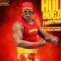 Hulk Hogan Hulkamania