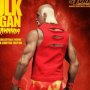 Hulk Hogan Hulkamania