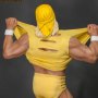 Hulk Hogan Hulkamania