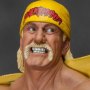 Hulk Hogan Hulkamania