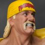 Hulk Hogan Hulkamania