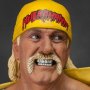 Hulk Hogan Hulkamania