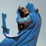 Batman And Catwoman Kiss (realita)