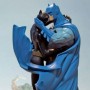 Batman And Catwoman Kiss (realita)