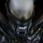 Alien (studio)