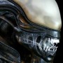 Alien (studio)