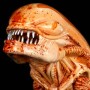 Alien Chestburster