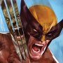 Marvel: Incredible Hulk Vs. Wolverine Art Print (Ben Oliver)