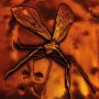 Ingot Mosquito In Amber