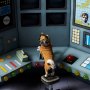 Inu-End Coin Bank