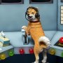 Inu-End Coin Bank