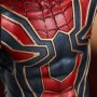 Iron Spider