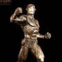 Iron Man Classic Bronze (studio)
