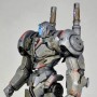 Pacific Rim: Jaeger Coyote Tango