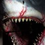 Jaws