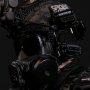 Jinyiwei Special Warfare Ming Dynasty Extreme Zone